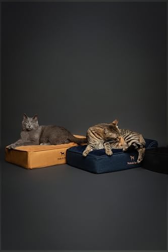 NOAH & PAW Small Dog Bed, 20x15x6.5 Inch, Cat Bed for Indoor Cats, Orthopedic Eggshell Memory Foam Infused with Cooling Gel, Water Resistant, Machine Washable, Includes Inner Cover (Faux Leather)