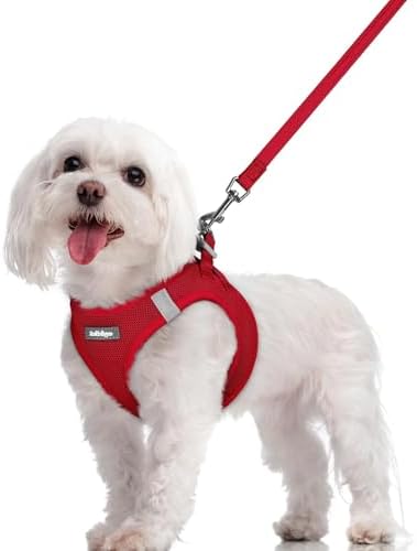 rabbitgoo Dog Harness Medium Sized and Leash Set, Step-in Puppy Pet Vest