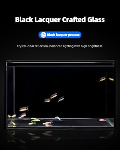 5 Gallon Glass Fish Tank, Ultra-Clear Small Aquarium