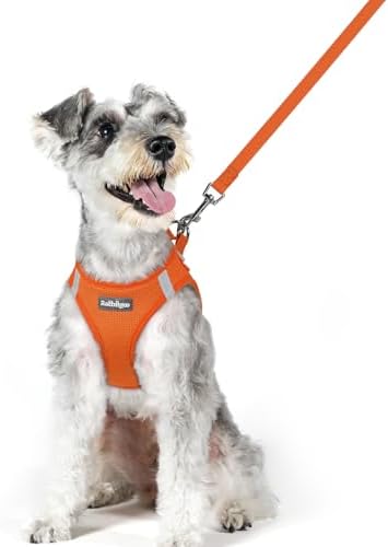 rabbitgoo Dog Harness Medium Sized and Leash Set, Step-in Puppy Pet Vest