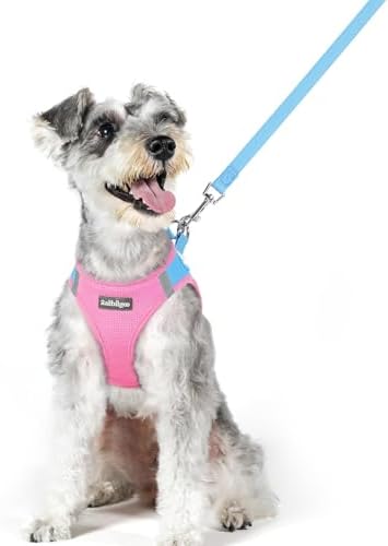 rabbitgoo Dog Harness Medium Sized and Leash Set, Step-in Puppy Pet Vest