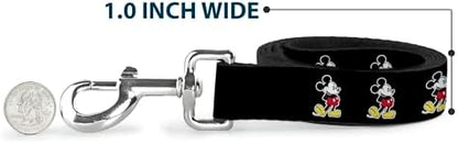 Disney Dog Leash