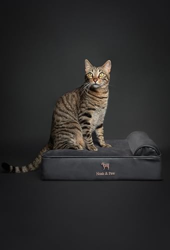 NOAH & PAW Small Dog Bed, 20x15x6.5 Inch, Cat Bed for Indoor Cats, Orthopedic Eggshell Memory Foam Infused with Cooling Gel, Water Resistant, Machine Washable, Includes Inner Cover (Faux Leather)