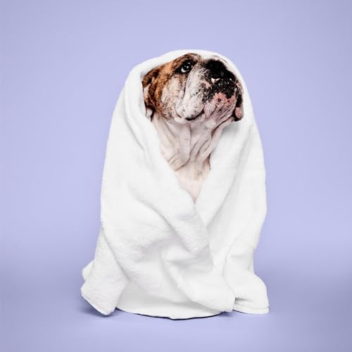 Paul Mitchell Pet Calming Lavender Mint Shampoo, Botanical-Infused Dog Shampoo, 16.9 fl oz
