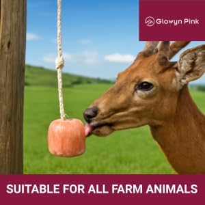 Himalayan Mineral Salt Block on Rope Pack of 4 (3lbs each) – 100% Organic Pink Salt Lick for Horses and Livestock. Deer Attractant with No Harmful Elements.