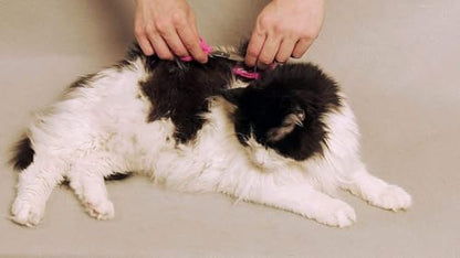 Silent Pet Grooming Kit for Dog, Cat and All Pet Grooming - A Quiet Alternative to Electric Clippers for Sensitive Pets (Left-Handed Blue)