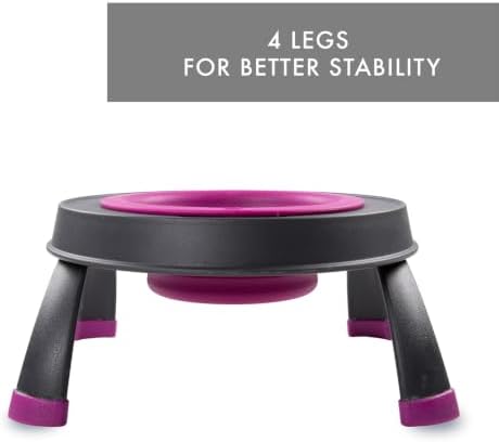 Dexas Pets Elevated Pet Feeder, Small, 1.5 Cup Capacity, Fuchsia, Raised Pet Food and Water Bowl