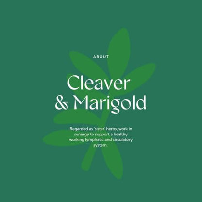 Hilton Herbs Cleavers & Marigold: Lymphatic Support