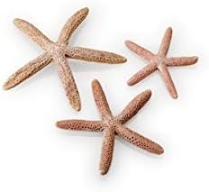 biOrb Starfish 3 Piece Set Natural