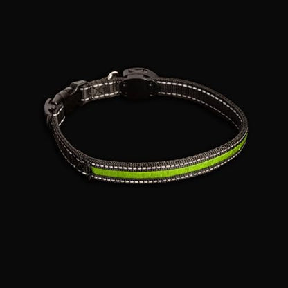 Sherry Kline LED Light-Up Pet Collar - USB Rechargeable - Flashing Glow in The Dark Size Large, Color: Green