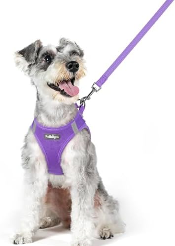 rabbitgoo Dog Harness Medium Sized and Leash Set, Step-in Puppy Pet Vest