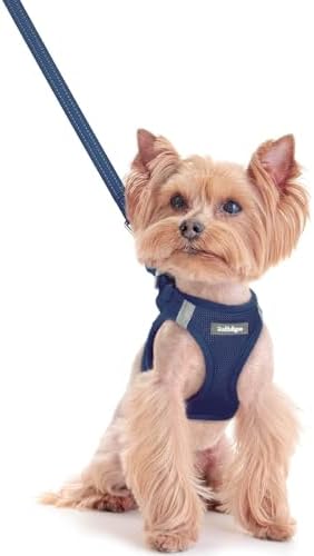 rabbitgoo Dog Harness Small Sized and Leash Set, Step-in Puppy Pet Vest
