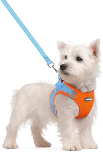 rabbitgoo Dog Harness Small Sized and Leash Set, Step-in Puppy Pet Vest
