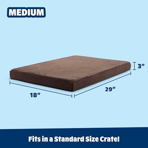 BarkBox Orthopedic Dog Bed - Medium