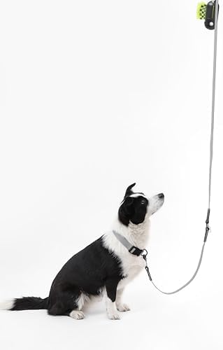 WLK1006N-5SET Luna Large 8FT Adjustable 6-in-1 Waterproof Hands-Free Leash and Collar with LED Flashlight, Bag Dispenser, and Poop Bag Holder, Martini