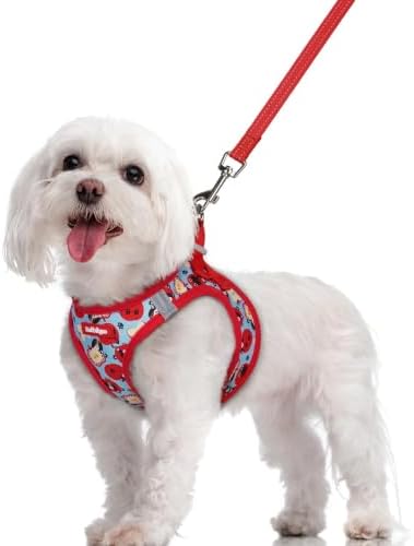 rabbitgoo Dog Harness Medium Sized and Leash Set, Step-in Puppy Pet Vest