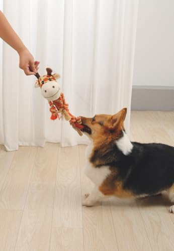 M-PETS Terra ECO Dog Toy – Squeaky Plush Dog Toy Made from Recycled Plastic Bottles, Soft & Durable Eco-Friendly Dog Toy (ZIA, Orange)
