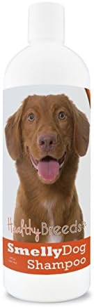 Healthy Breeds Nova Scotia Duck Tolling Retriever Smelly Dog Baking Soda Shampoo 8 oz