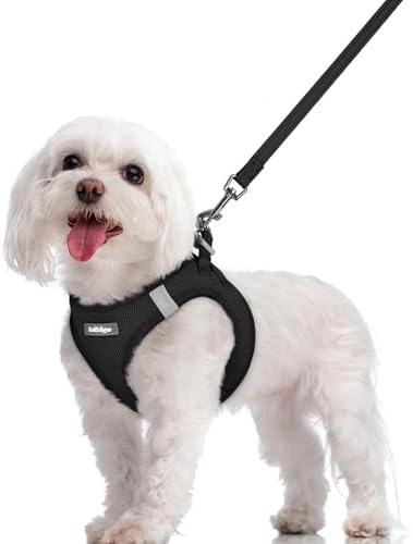 rabbitgoo Dog Harness Medium Sized and Leash Set, Step-in Puppy Pet Vest