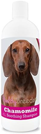 Healthy Breeds Dachshund Chamomile Soothing Dog Shampoo 8 oz
