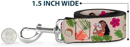 Disney Dog Leash