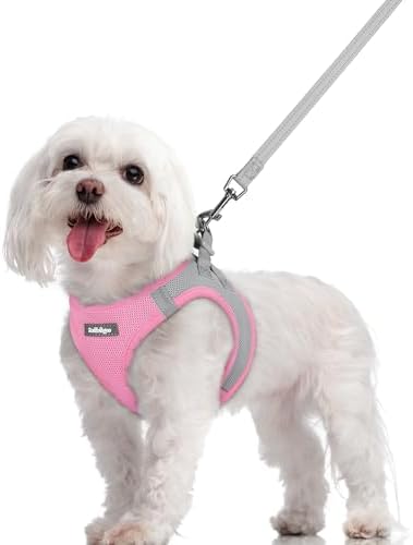 rabbitgoo Dog Harness Medium Sized and Leash Set, Step-in Puppy Pet Vest