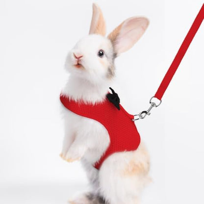 Rabbit Leash and Harness Set for Walking Escape Proof, Red S