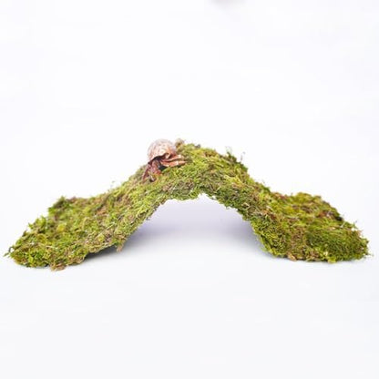 Hermit Crab Climbing Toys, 13.5 inch Bendable Climbing Bridge, Ideal Hermit Crab Supplies for 10 Gallon Hermit Crab Tank