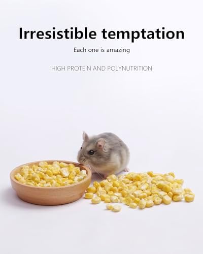 Niteangel Hamster Snack & Treats Toy - Freeze-Dried Corn & No Additive