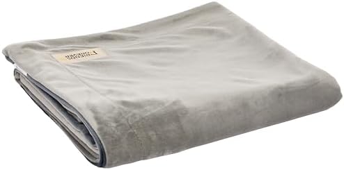 Friends Forever Dog Bed Blanket, Pets Blankets for Couch Sofa Protection