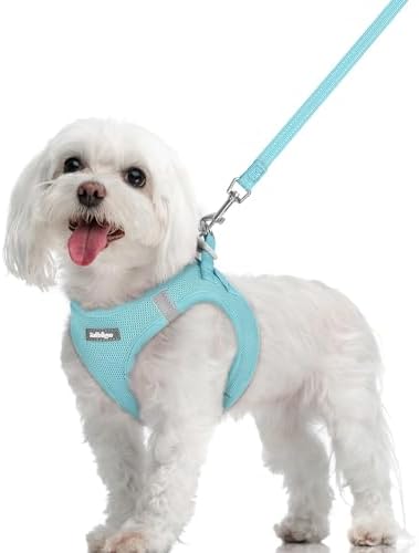rabbitgoo Dog Harness Medium Sized and Leash Set, Step-in Puppy Pet Vest