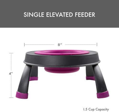 Dexas Pets Elevated Pet Feeder, Small, 1.5 Cup Capacity, Fuchsia, Raised Pet Food and Water Bowl