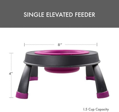 Dexas Pets Elevated Pet Feeder, Small, 1.5 Cup Capacity, Fuchsia, Raised Pet Food and Water Bowl