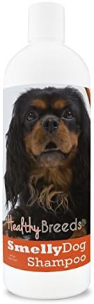 Healthy Breeds English Toy Spaniel Smelly Dog Baking Soda Shampoo 8 oz