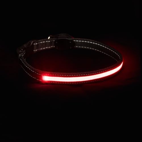 Sherry Kline LED Light-Up Pet Collar - USB Rechargeable - Flashing Glow in The Dark Size Small, Color: Red