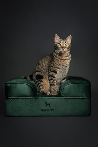 NOAH & PAW Small Dog Bed, 20x15x8 Inch, Cat Bed for Indoor Cats, Orthopedic Eggshell Memory Foam Infused with Cooling Gel, Water Resistant Inner Cover Machine Washable (Velvet Collection)
