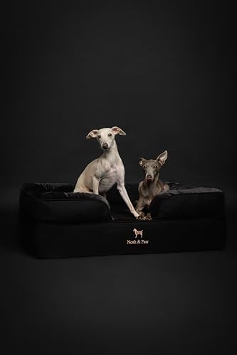 NOAH & PAW Large Dog Bed, 35x25x11 Inch, Orthopedic Dog Beds, Eggshell Memory Foam Infused with Cooling Gel, Inner Cover, Water Resistant, Machine Washable (Denim Sofa Collection)