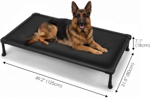 Veehoo Chew Proof Elevated Dog Bed, Padded Indestructible Raised Dog Cot