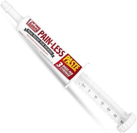 Jeffers Equine Pain Less Paste Horse Supplement – Joint Muscle Comfort & Mobility Support w/Devil’s Claw, Yucca, Vitamin B12, w/Prebiotic for Digestive Nutritional Support for Horses, 30cc Syringe