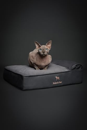 NOAH & PAW Small Dog Bed, 20x15x6.5 Inch, Cat Bed for Indoor Cats, Orthopedic Eggshell Memory Foam Infused with Cooling Gel, Water Resistant, Machine Washable, Includes Inner Cover (Faux Leather)