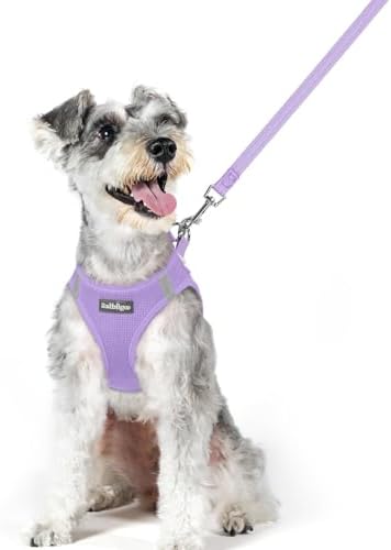 rabbitgoo Dog Harness Medium Sized and Leash Set, Step-in Puppy Pet Vest
