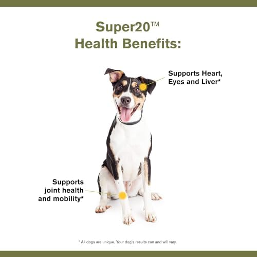 Badlands Ranch Super20 Multi-Benefit Supplement for Dogs, 30 Scoops