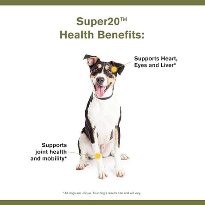 Badlands Ranch Super20 Multi-Benefit Supplement for Dogs, 30 Scoops