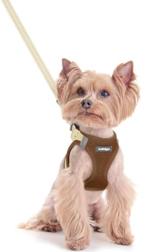 rabbitgoo Dog Harness Small Sized and Leash Set, Step-in Puppy Pet Vest