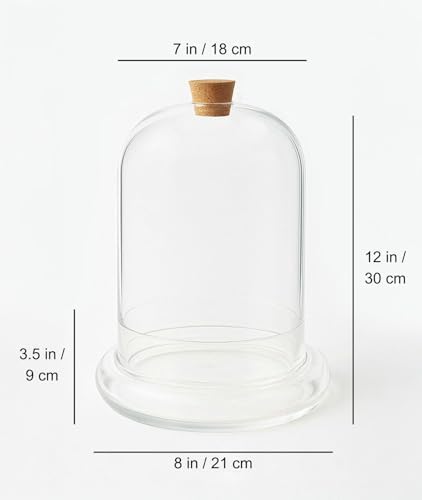 Handblown 12" Glass Terrarium with Opening for Air Flow & Cork Stopper Cloche Style Glass Dome Vivarium Display Case (Extra Large)