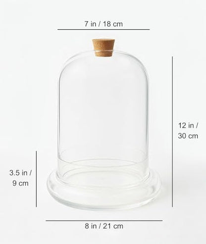 Handblown 12" Glass Terrarium with Opening for Air Flow & Cork Stopper Cloche Style Glass Dome Vivarium Display Case (Extra Large)