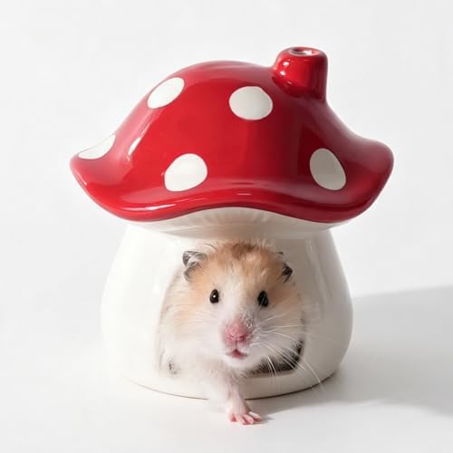 Ceramic Hamster Hideout Mushroom Chew Proof Syrian Hide Cool Bed