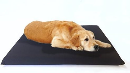 Luxurious Comfort Solid Pad Memory Foam Pet Dog Bed with Inner Waterproof Case and External Cover for Small and Large Dogs + Free 2nd Cover - Complete Bed (45"x27"x3", Canvas - Black)