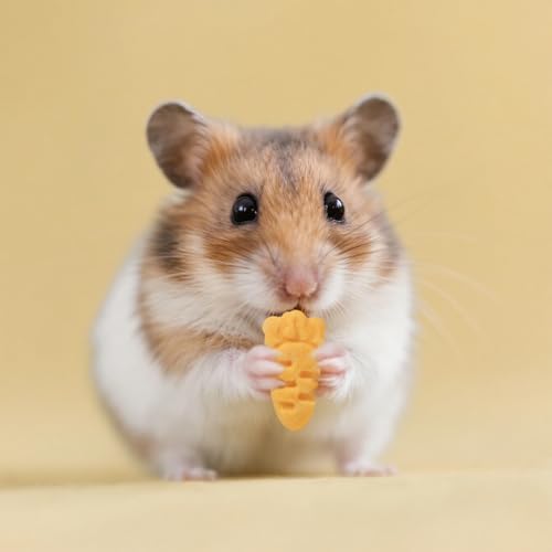 Abizoo Hamster & Gerbil Treats, Crispy Baked Hamster Cookies