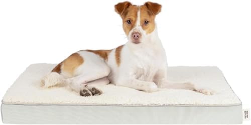 Best Pet Supplies Orthopedic Dog Bed with Memory Foam, Washable Dog Crate Mat for Small, Medium & Large Dogs, Thick Mattress for Crates, Kennels or Floor, Waterproof Pet Bed - Beige, 30 x 20 x 3